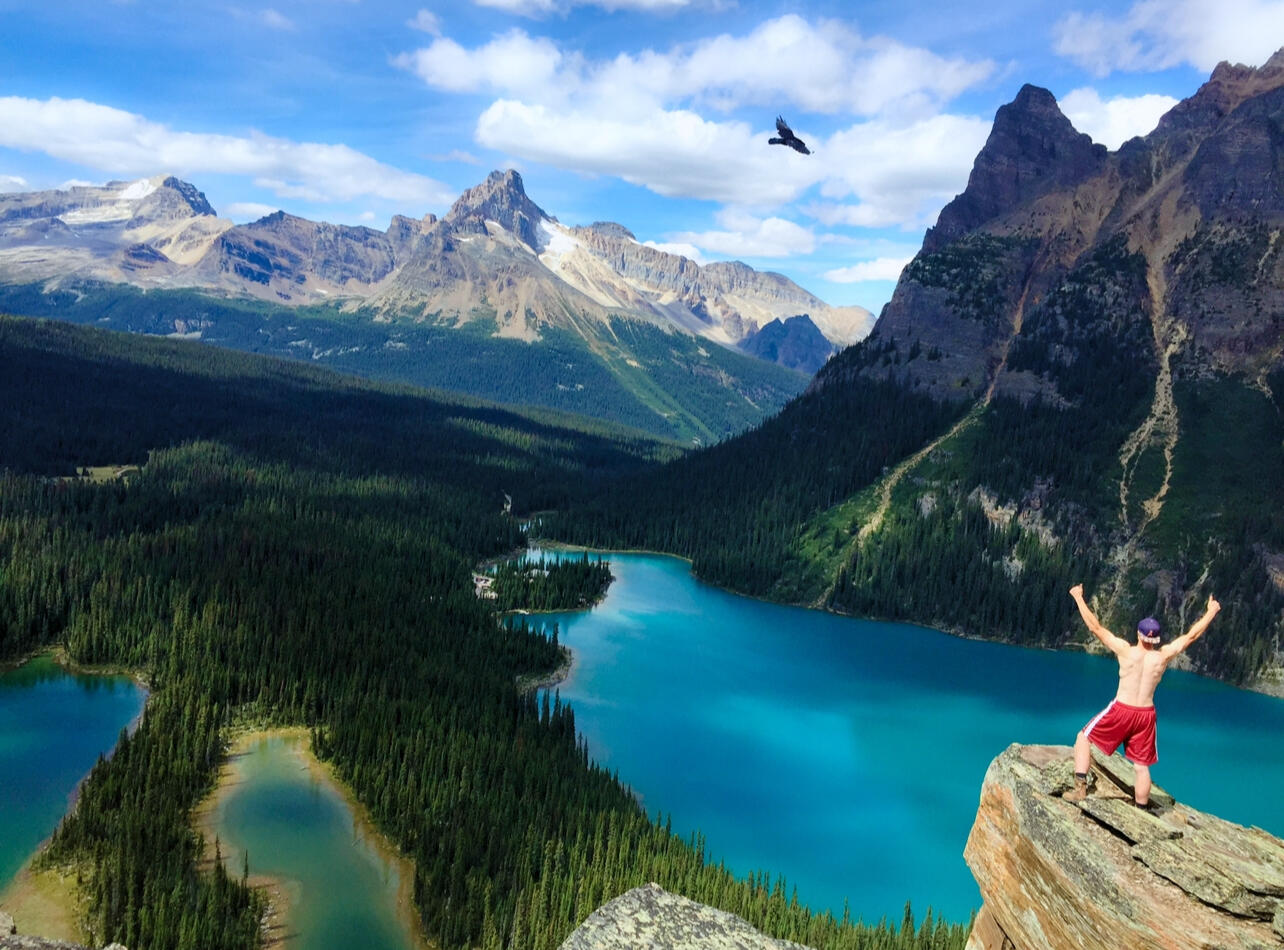 McCall Alexander portrait